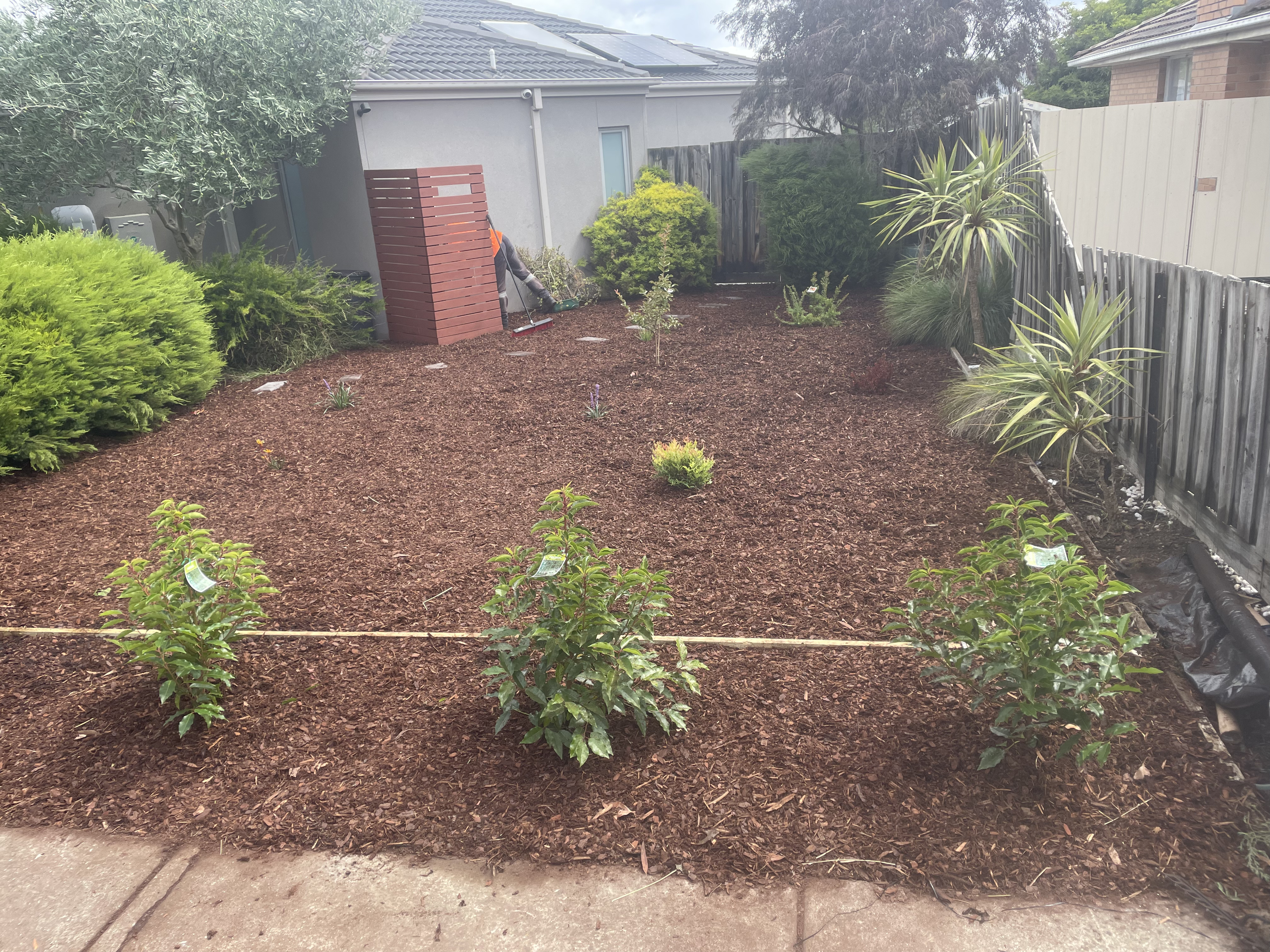 GMC Garden Project 31