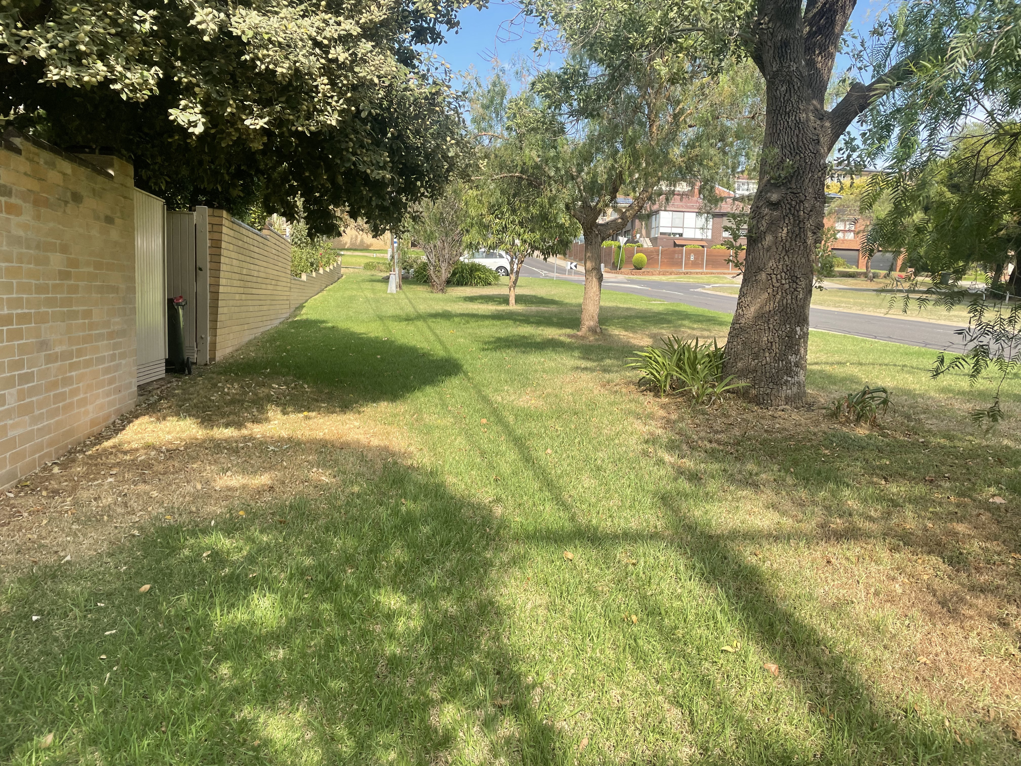 GMC Garden Project 33