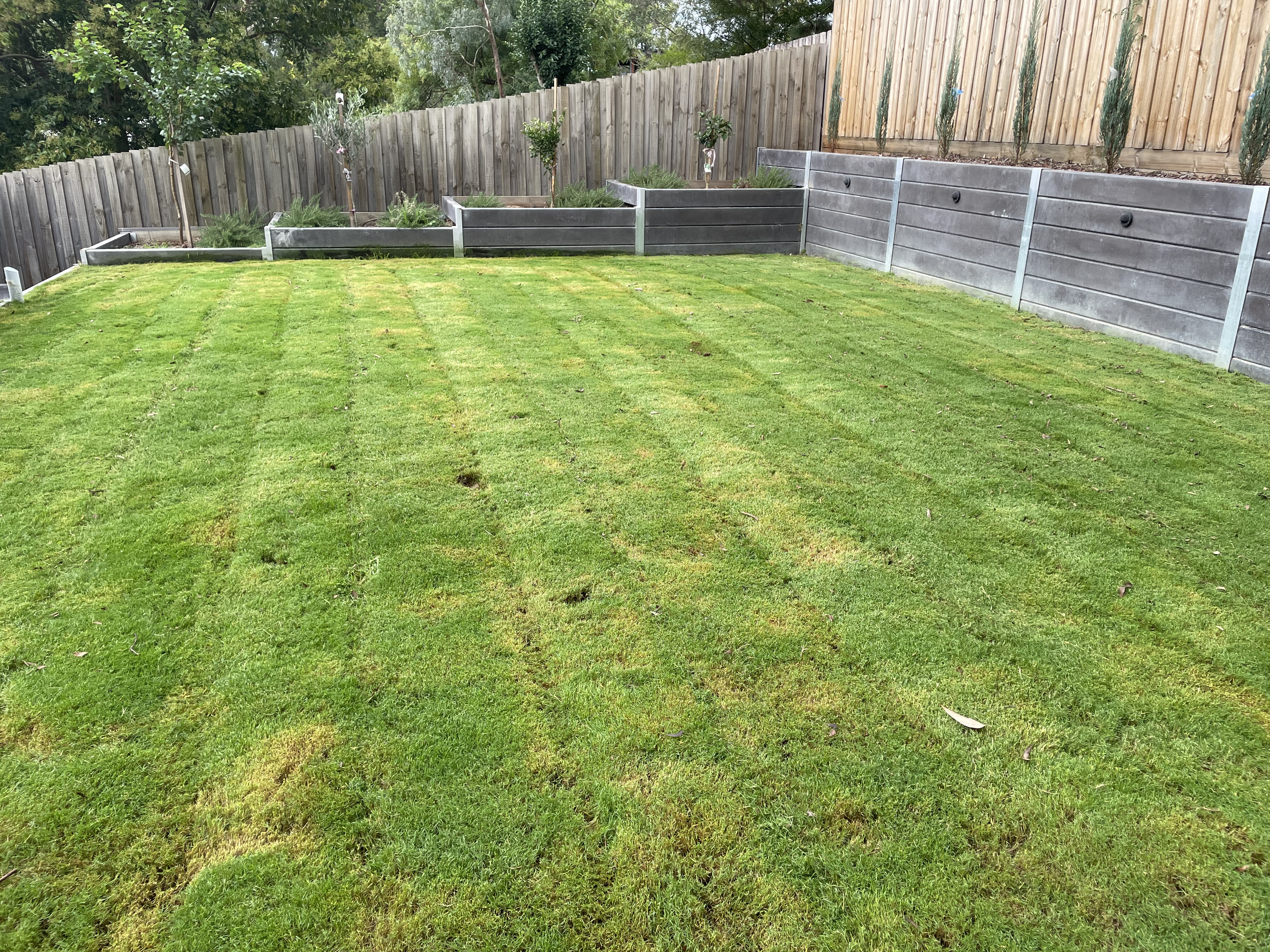 GMC Garden Project 36