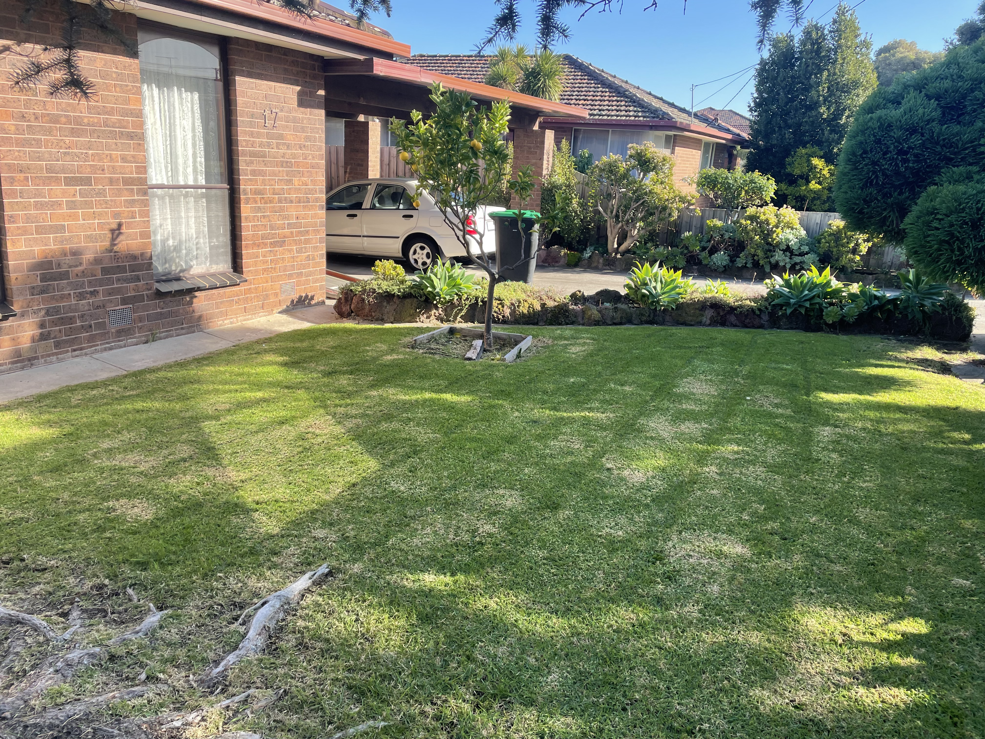 GMC Garden Project 37