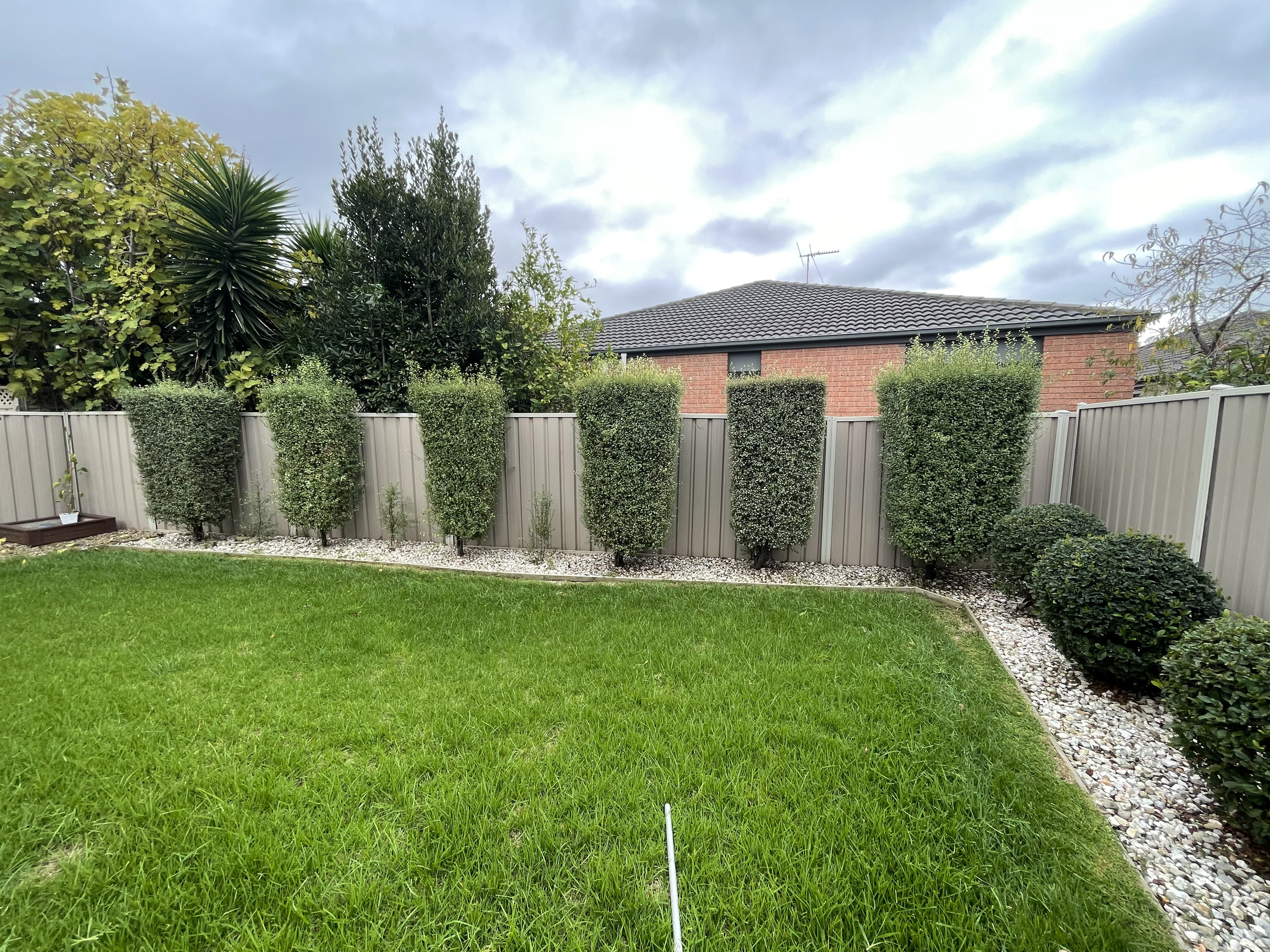 GMC Garden Project 38