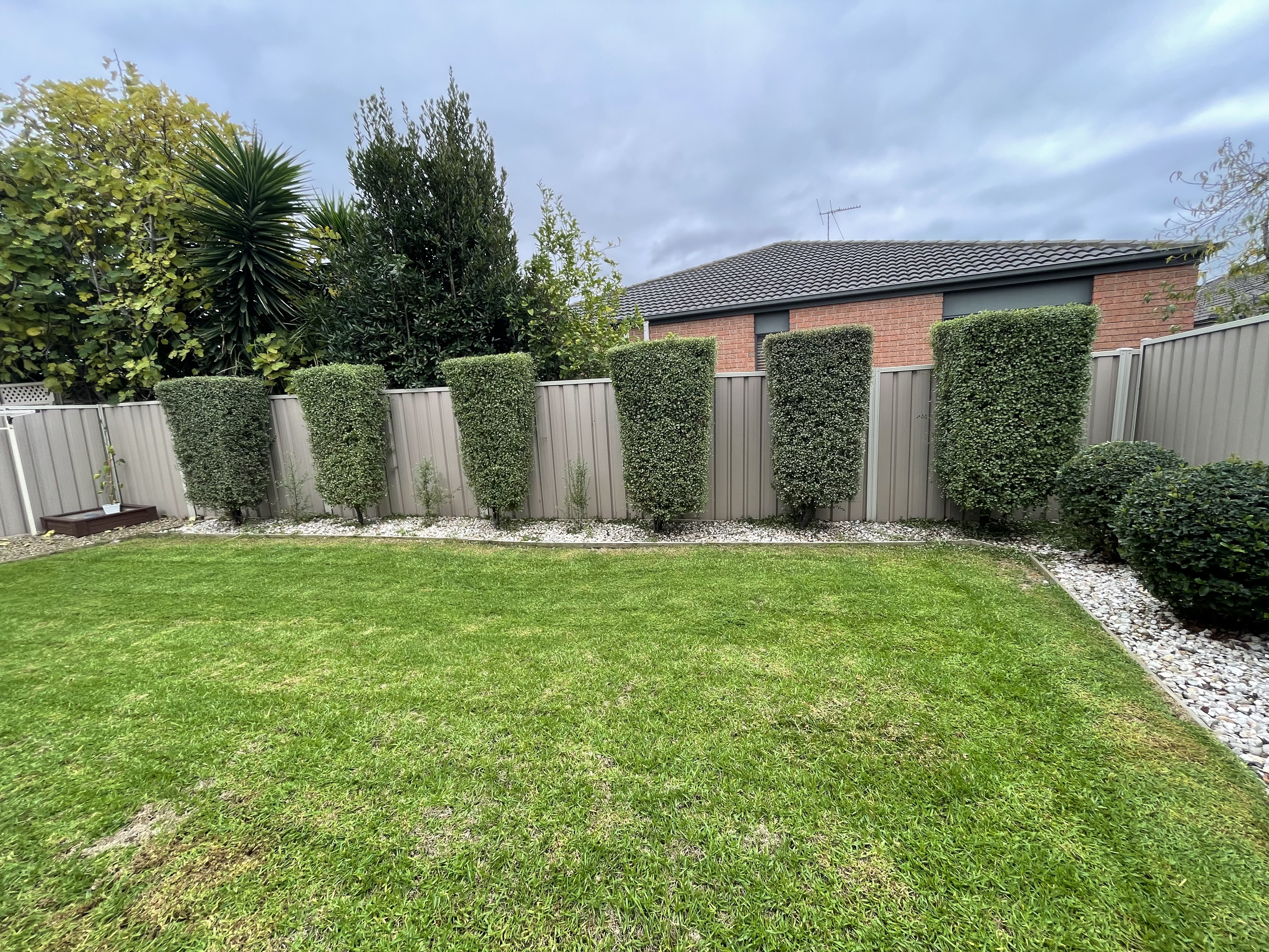 GMC Garden Project 39