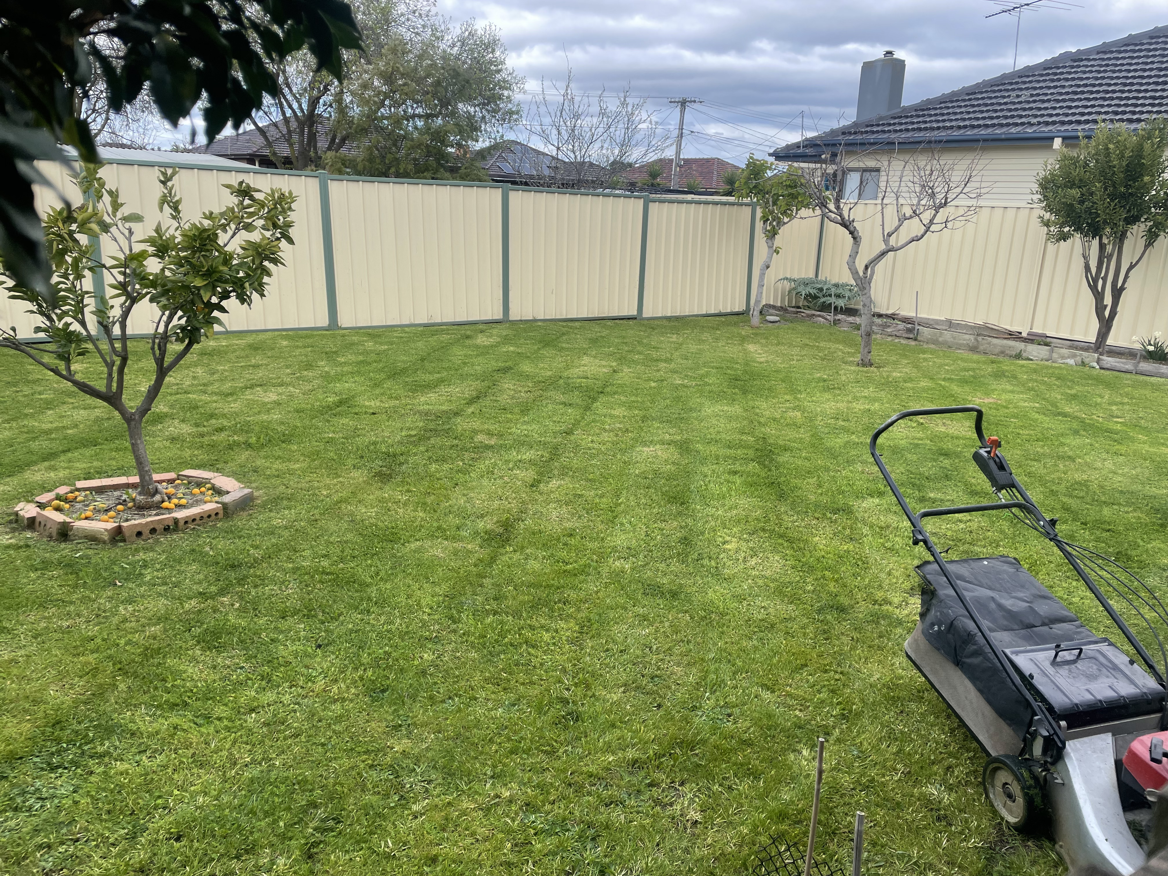 GMC Garden Project 2