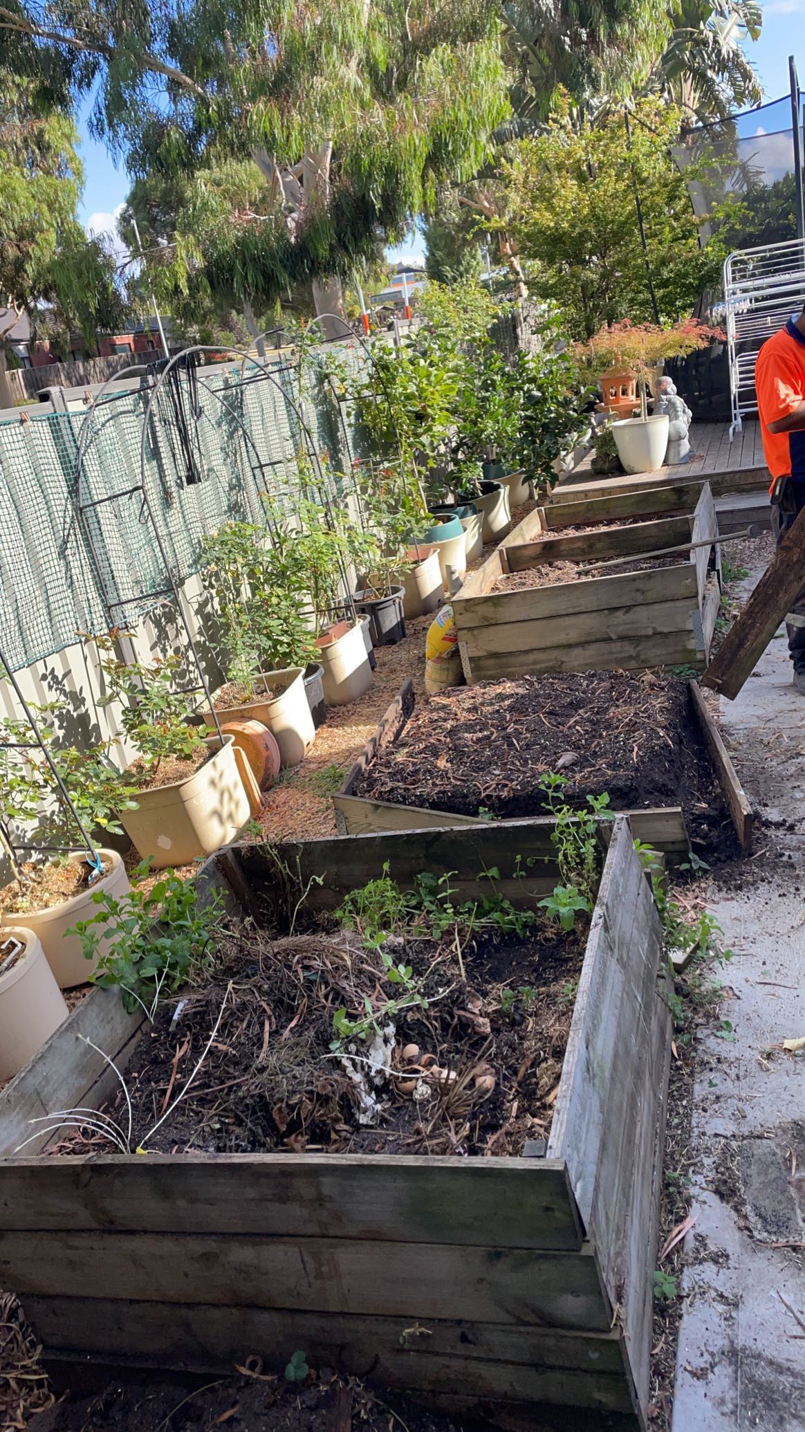 GMC Garden Project 6