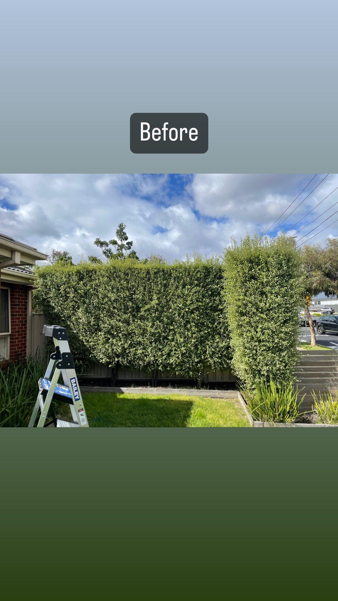 GMC Garden Project 15