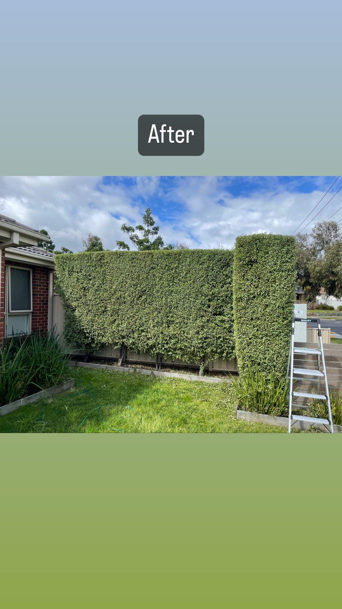 GMC Garden Project 16