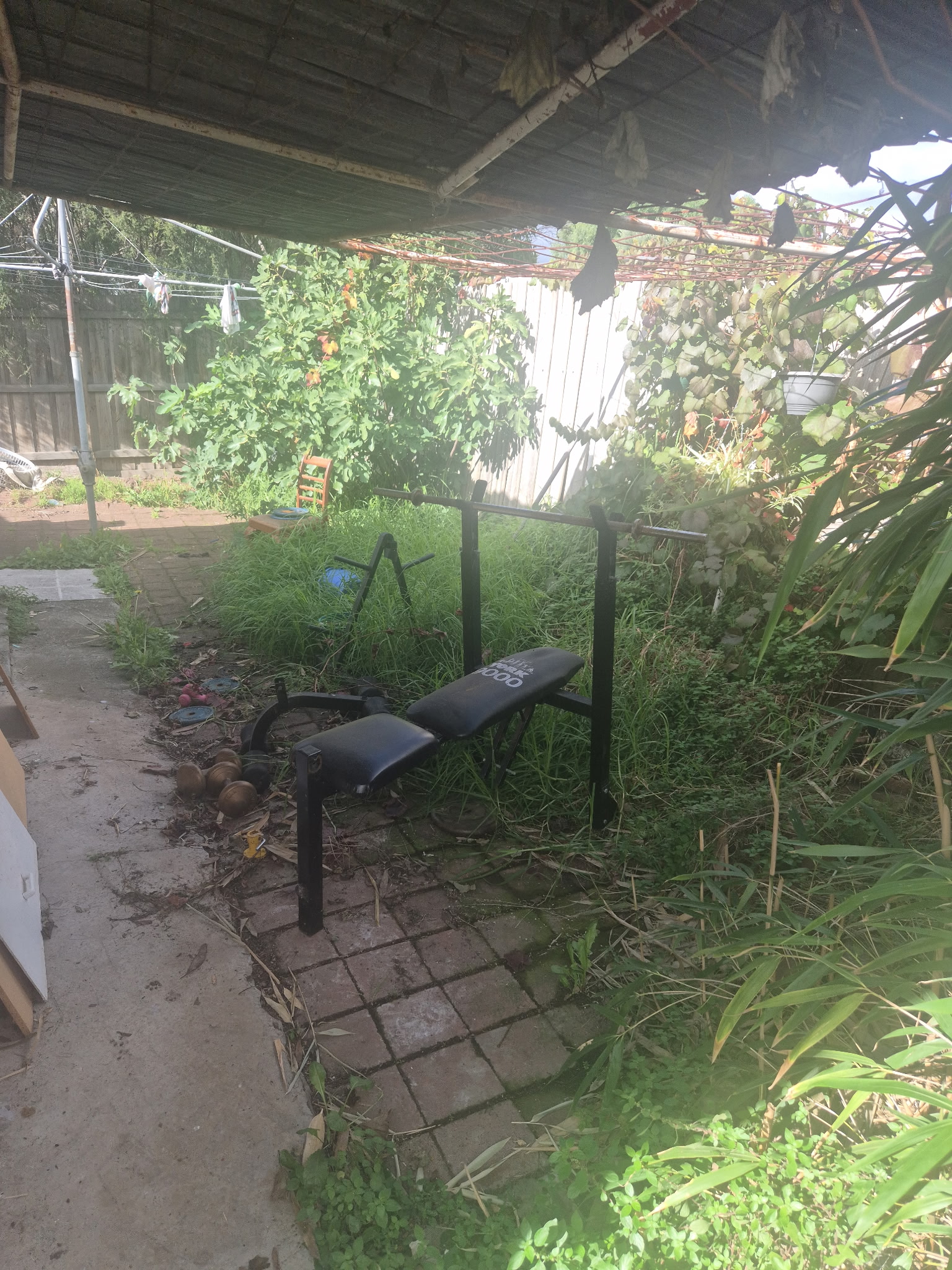 GMC Garden Project 2