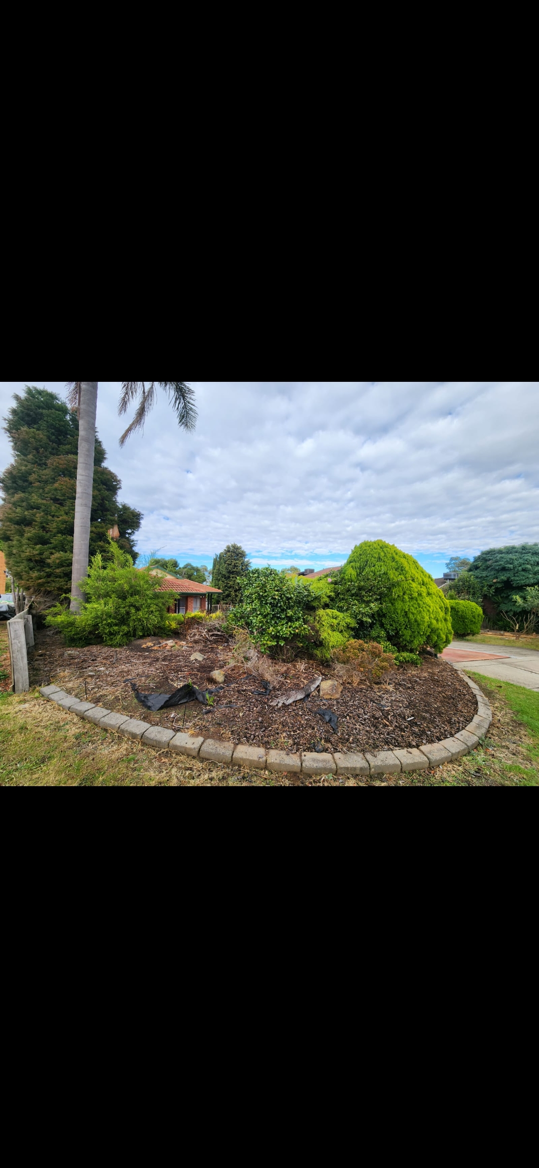 GMC Garden Project 22