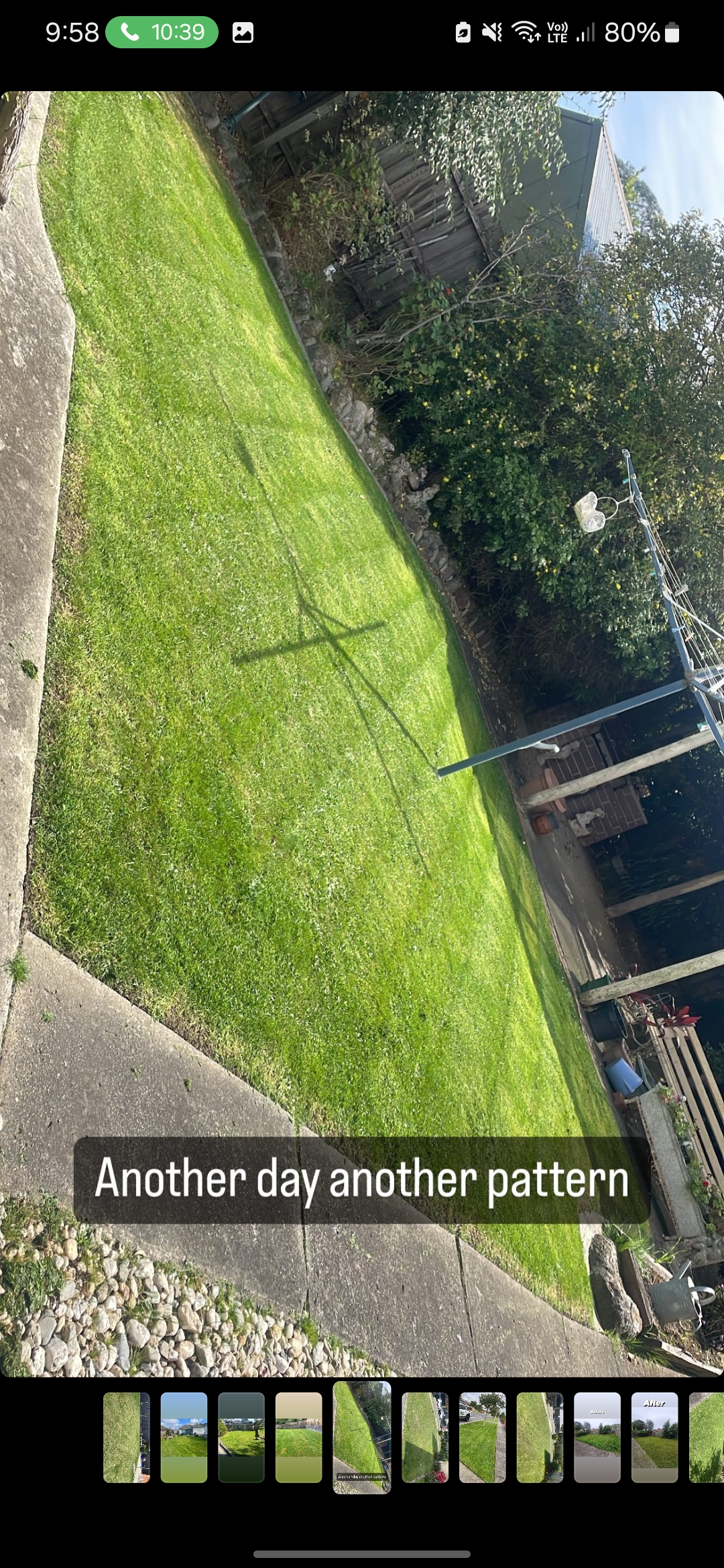 GMC Garden Project 23