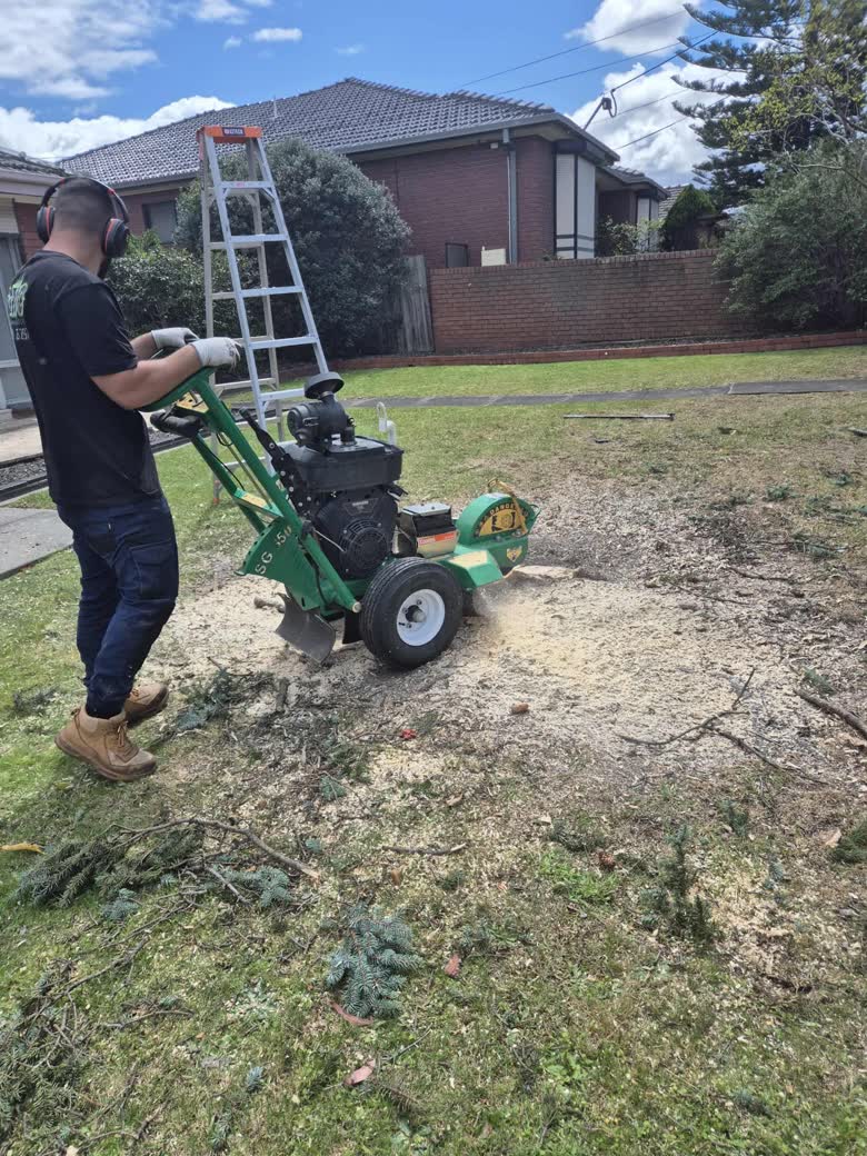 GMC team member grinding a tree stump in a Melbourne front yard